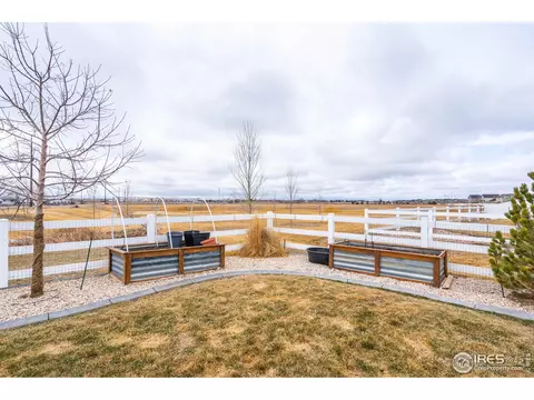 241 Pinebrook Ct, Windsor, CO 80550 photo 39