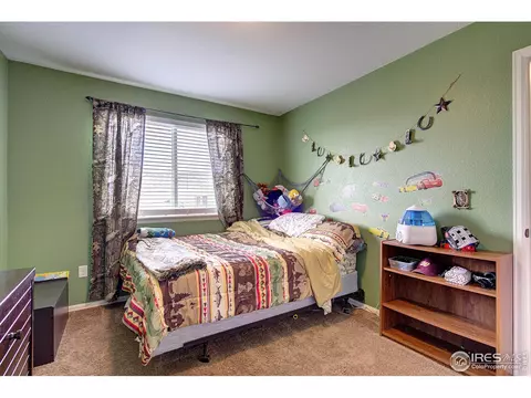241 Pinebrook Ct, Windsor, CO 80550 photo 21