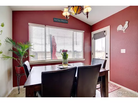 241 Pinebrook Ct, Windsor, CO 80550 photo 17