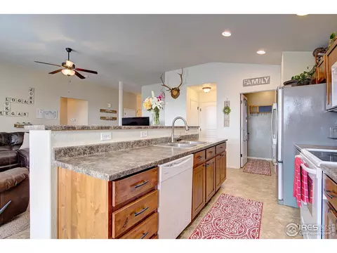 241 Pinebrook Ct, Windsor, CO 80550 photo 14