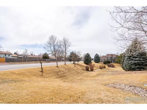 129 Apple Way, Windsor, CO 80550 photo 40