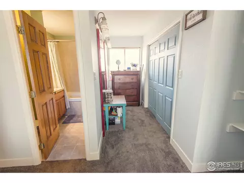 980 Columbine Dr, Windsor, CO 80550 photo 16