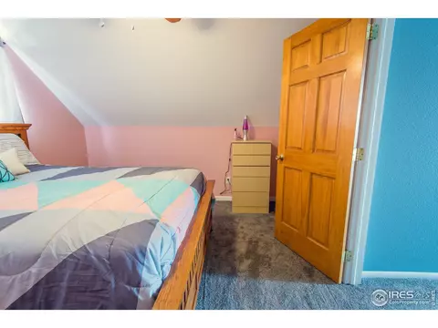 980 Columbine Dr, Windsor, CO 80550 photo 24