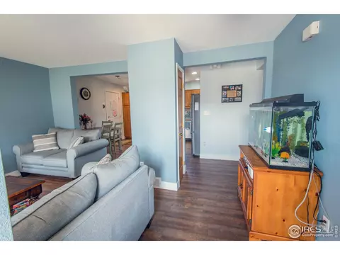 980 Columbine Dr, Windsor, CO 80550 photo 3