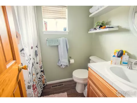 980 Columbine Dr, Windsor, CO 80550 photo 22