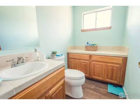 980 Columbine Dr, Windsor, CO 80550 photo 12