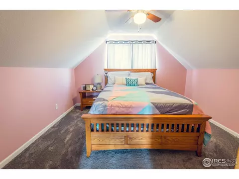980 Columbine Dr, Windsor, CO 80550 photo 23