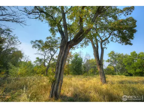 235 Park St, Lyons, CO 80540 photo 31