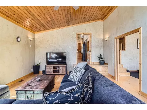 421 Holmes Gulch Rd, Bailey, CO 80421 photo 9