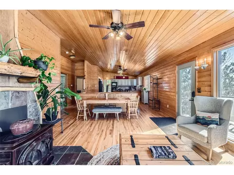 421 Holmes Gulch Rd, Bailey, CO 80421 photo 7