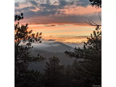 421 Holmes Gulch Rd, Bailey, CO 80421 photo 2