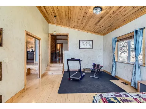 421 Holmes Gulch Rd, Bailey, CO 80421 photo 11