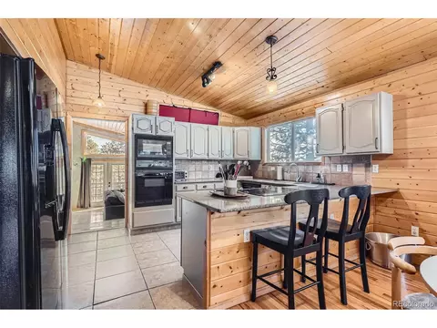 421 Holmes Gulch Rd, Bailey, CO 80421 photo 3