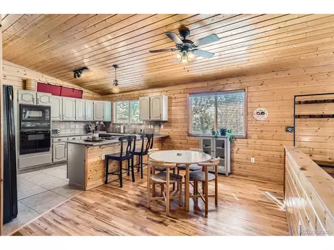 421 Holmes Gulch Rd, Bailey, CO 80421 photo 5