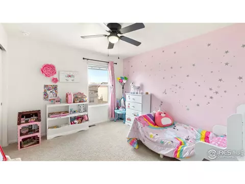429 3rd St, Severance, CO 80550 photo 22