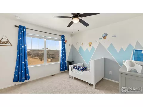 429 3rd St, Severance, CO 80550 photo 23