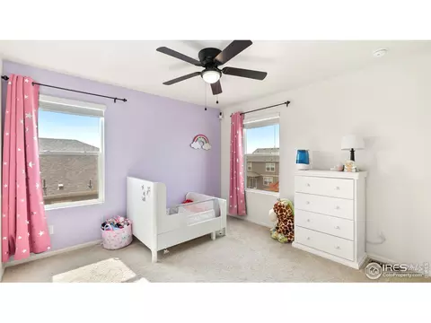 429 3rd St, Severance, CO 80550 photo 21