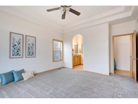 8423 Castaway Dr, Windsor, CO 80528 photo 23