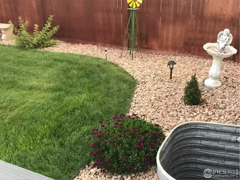 2135 Orchard Bloom Dr, Windsor, CO 80550 photo 24