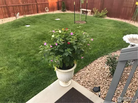 2135 Orchard Bloom Dr, Windsor, CO 80550 photo 25