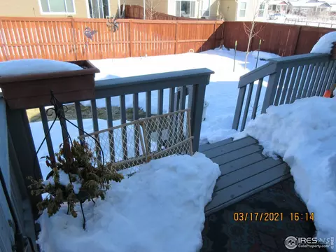 2135 Orchard Bloom Dr, Windsor, CO 80550 photo 23