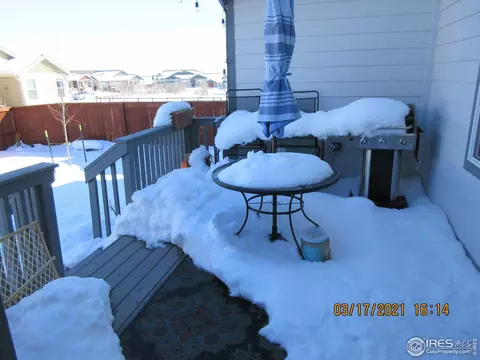 2135 Orchard Bloom Dr, Windsor, CO 80550 photo 22