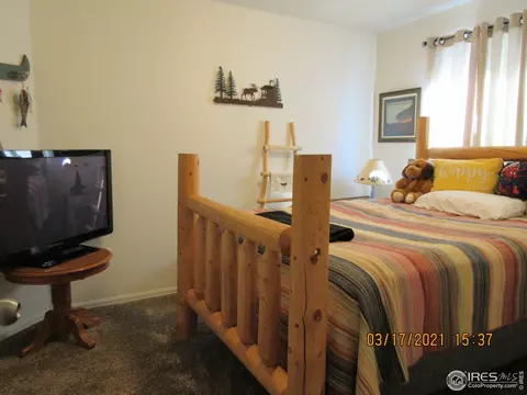 2135 Orchard Bloom Dr, Windsor, CO 80550 photo 11