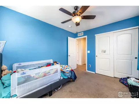 3377 Raintree Ln, Dacono, CO 80514 photo 24