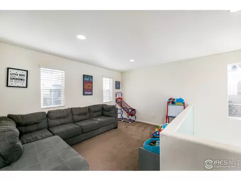 3377 Raintree Ln, Dacono, CO 80514 photo 12