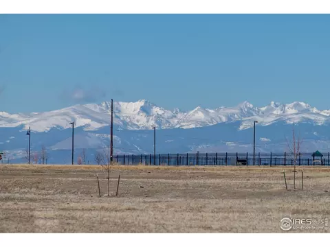3377 Raintree Ln, Dacono, CO 80514 photo 34