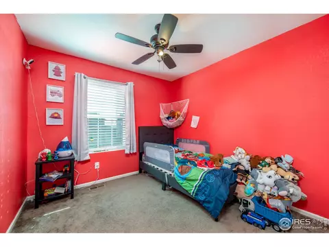 3377 Raintree Ln, Dacono, CO 80514 photo 22