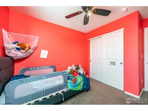 3377 Raintree Ln, Dacono, CO 80514 photo 21