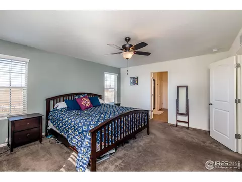 3377 Raintree Ln, Dacono, CO 80514 photo 19