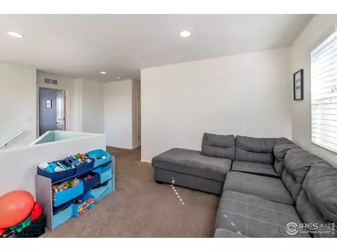 3377 Raintree Ln, Dacono, CO 80514 photo 14