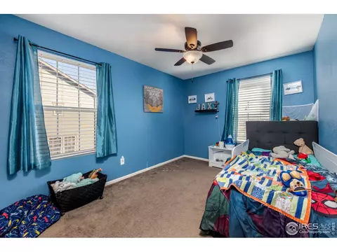 3377 Raintree Ln, Dacono, CO 80514 photo 23