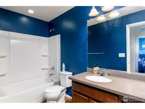 3377 Raintree Ln, Dacono, CO 80514 photo 26