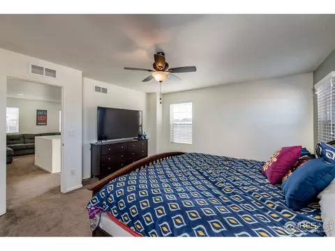 3377 Raintree Ln, Dacono, CO 80514 photo 16