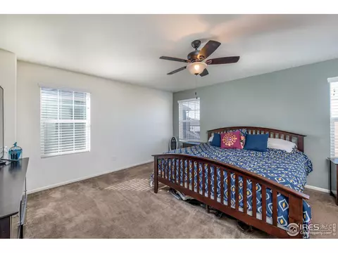 3377 Raintree Ln, Dacono, CO 80514 photo 18