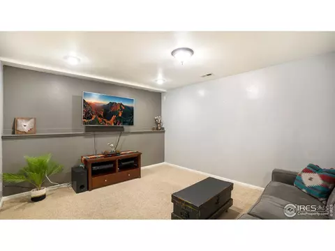 703 Cornerstone Dr, Windsor, CO 80550 photo 23