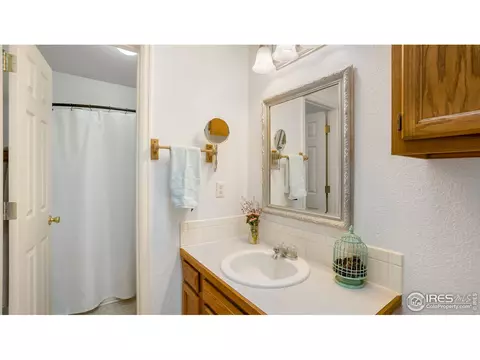 703 Cornerstone Dr, Windsor, CO 80550 photo 16