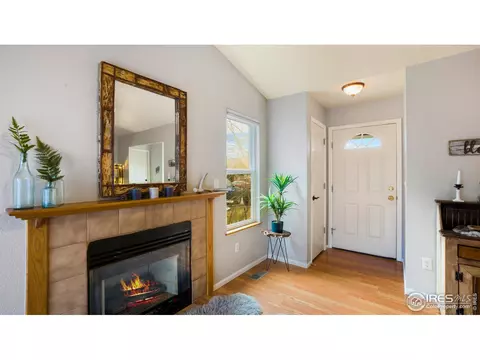 703 Cornerstone Dr, Windsor, CO 80550 photo 5