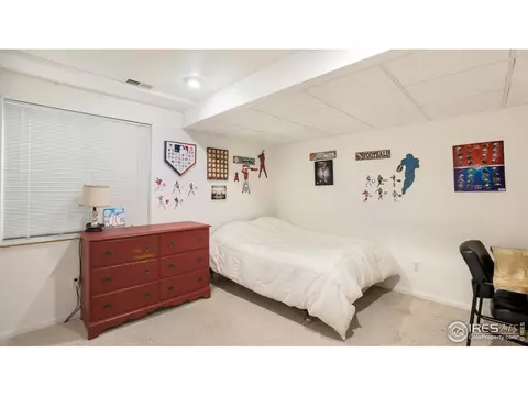 703 Cornerstone Dr, Windsor, CO 80550 photo 21