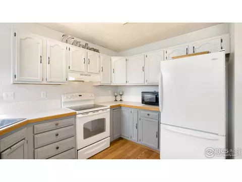 703 Cornerstone Dr, Windsor, CO 80550 photo 13