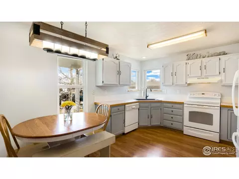 703 Cornerstone Dr, Windsor, CO 80550 photo 11