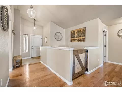 5619 Maidenhead Dr, Windsor, CO 80550 photo 3