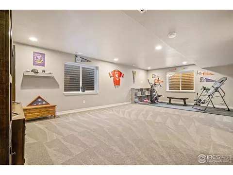 5619 Maidenhead Dr, Windsor, CO 80550 photo 22
