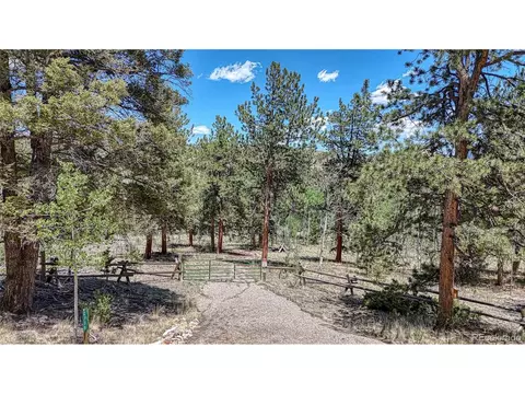 2338 Fitzsimmons Rd, Hartsel, CO 80449