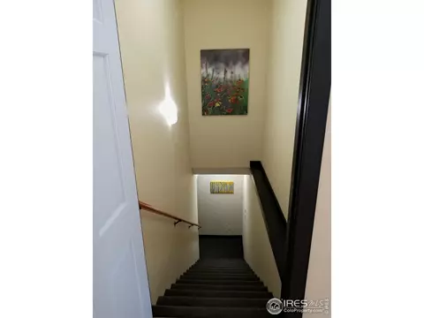 1408 Red Fox Cir, Severance, CO 80550 photo 20