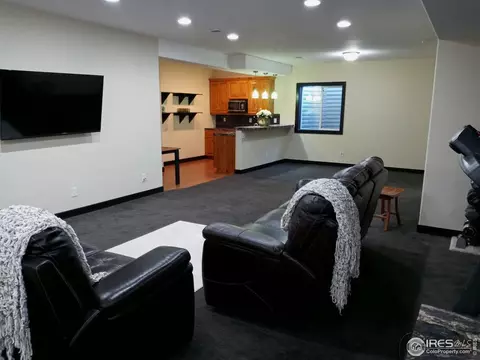 1408 Red Fox Cir, Severance, CO 80550 photo 19