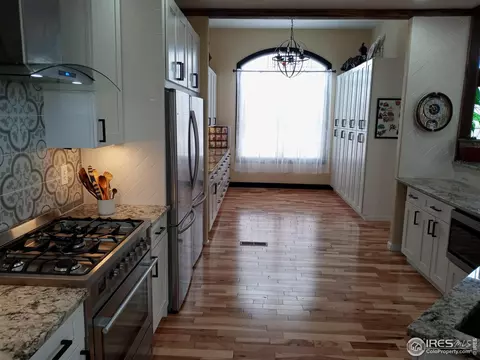 1408 Red Fox Cir, Severance, CO 80550 photo 10